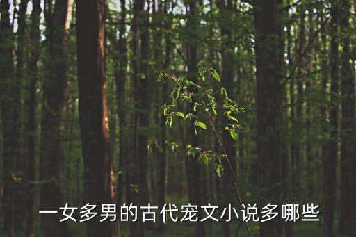  一女多男的古代寵文小說(shuō)多哪些