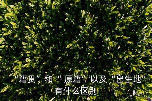 “籍貫”和“ 原籍”以及“出生地”有什么區(qū)別