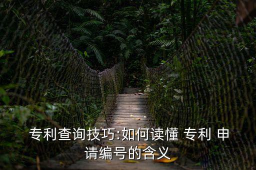 專利申請(qǐng)?zhí)?/></a></span><span id=