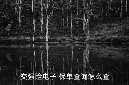  交強險電子 保單查詢怎么查