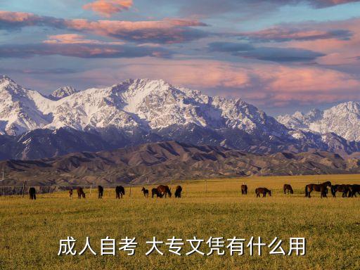  成人自考 大專文憑有什么用