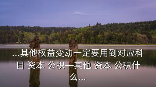 ...其他權(quán)益變動(dòng)一定要用到對(duì)應(yīng)科目 資本 公積—其他 資本 公積什么...