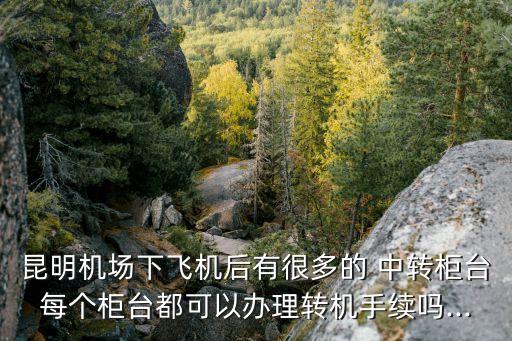 昆明機(jī)場下飛機(jī)后有很多的 中轉(zhuǎn)柜臺(tái)每個(gè)柜臺(tái)都可以辦理轉(zhuǎn)機(jī)手續(xù)嗎...