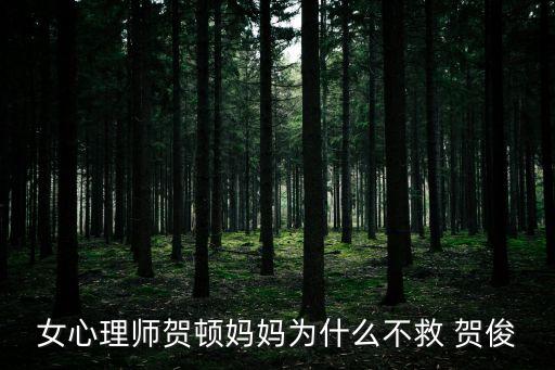 賀俊,賀峻霖個人資料