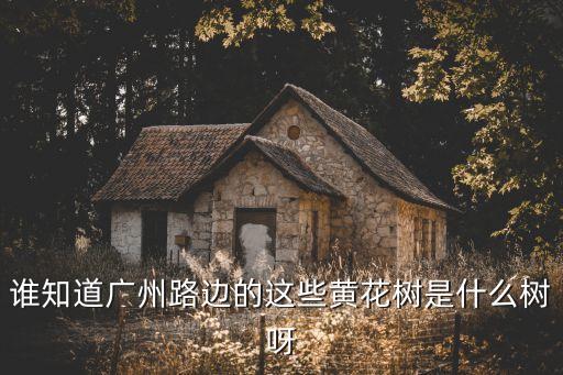 黃鐘木