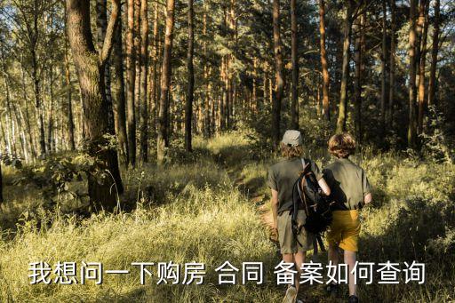 怎么查備案合同,網(wǎng)上怎么查備案合同