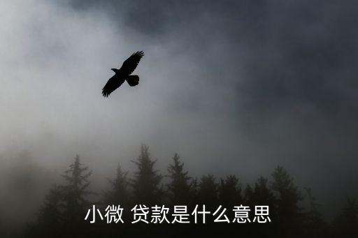 微貸款