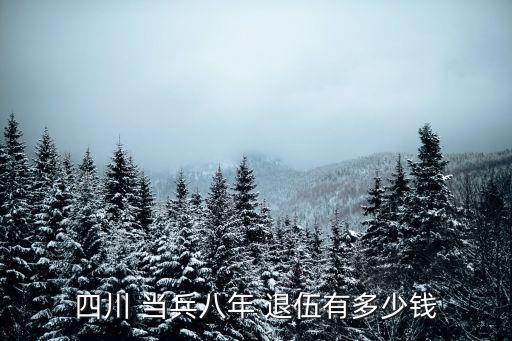 當兵8年退伍可以拿多少錢,入伍疤痕標準