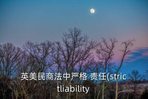 英美民商法中嚴(yán)格 責(zé)任(strictliability