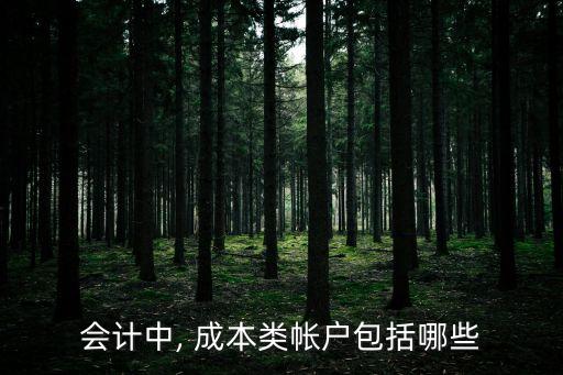 成本類賬戶
