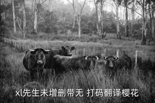 日本無打碼