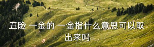 一金是什么,事業(yè)單位交的五險一金是什么