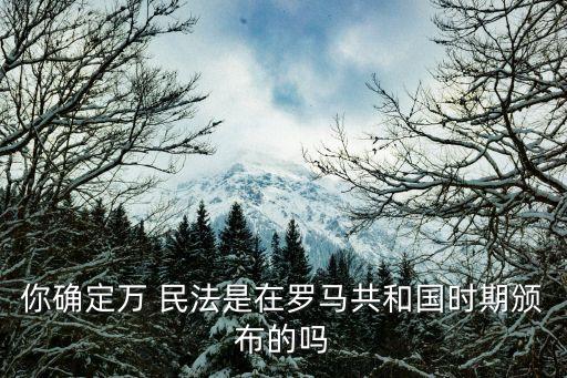 你確定萬(wàn) 民法是在羅馬共和國(guó)時(shí)期頒布的嗎