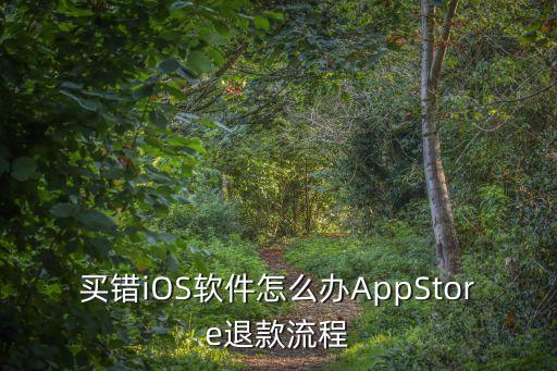買錯iOS軟件怎么辦AppStore退款流程