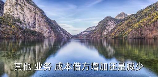 其他業(yè)務(wù)成本