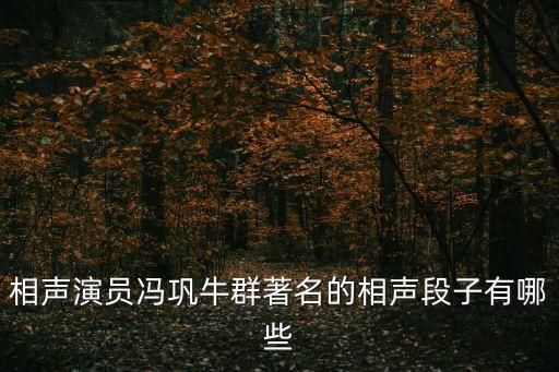 點子公司,馮鞏牛群經(jīng)典相聲點子公司