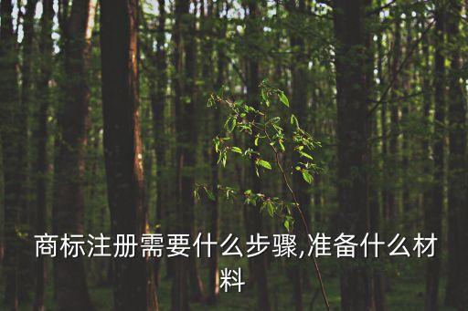 商標(biāo)注冊證明