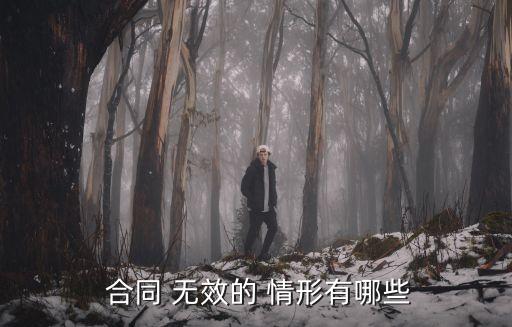  合同 無(wú)效的 情形有哪些