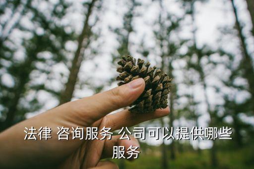 法律咨詢(xún)公司