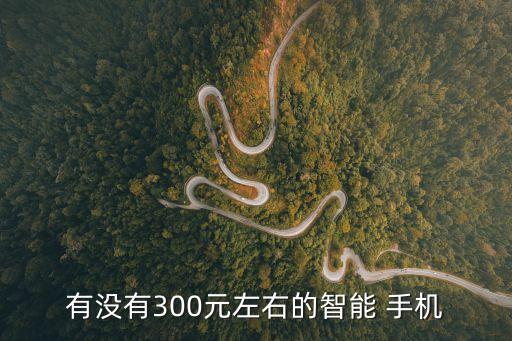 幾百塊的手機(jī),有沒有幾百塊的手機(jī)