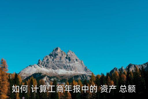 資產(chǎn)總額怎么計算,負債總額怎么計算