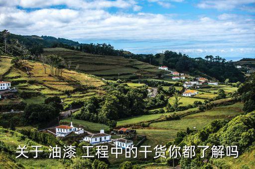 油漆工程,什么是油漆工程