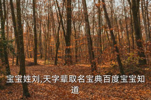 劉天明