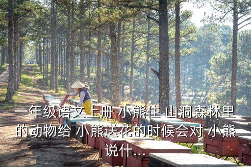 小熊住山洞