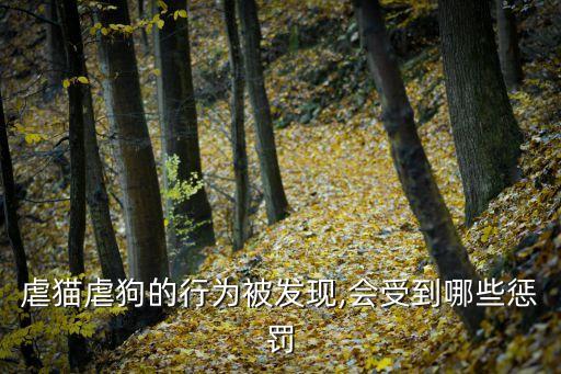 反虐待動物法,有人虐貓可以報警嗎