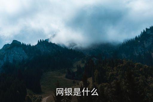  網(wǎng)銀是什么