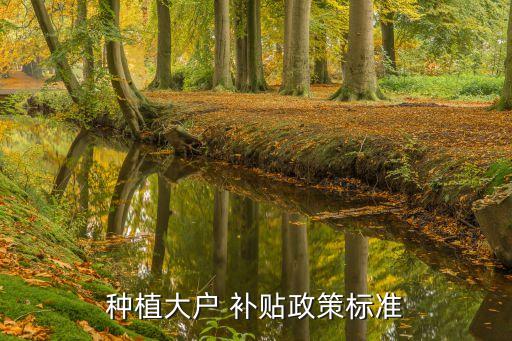 農(nóng)業(yè)補(bǔ)貼每畝多少錢(qián),2004年農(nóng)業(yè)補(bǔ)貼每畝多少錢(qián)