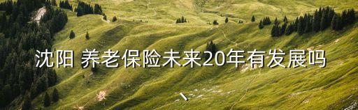  沈陽 養(yǎng)老保險(xiǎn)未來20年有發(fā)展嗎丶