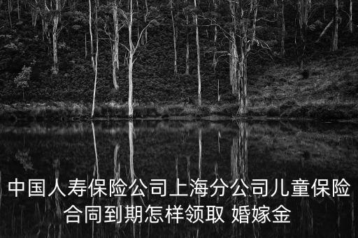 婚嫁金