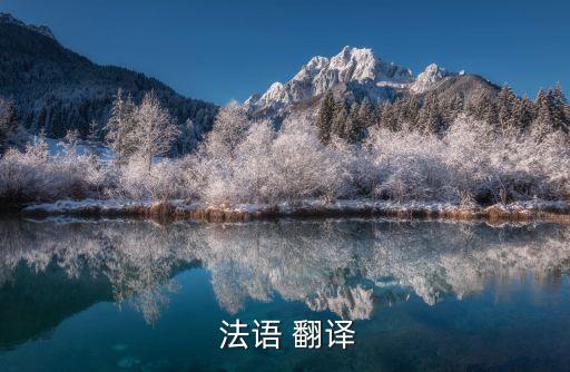 法語翻譯