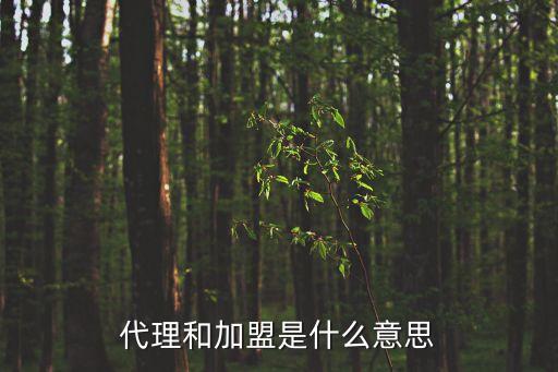 代理和加盟是什么意思