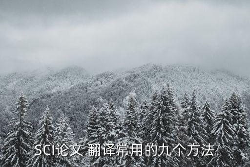 政治文本的翻譯技巧和方法