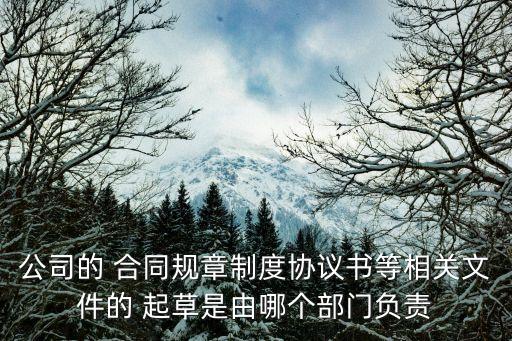公司的 合同規(guī)章制度協(xié)議書等相關(guān)文件的 起草是由哪個部門負(fù)責(zé)