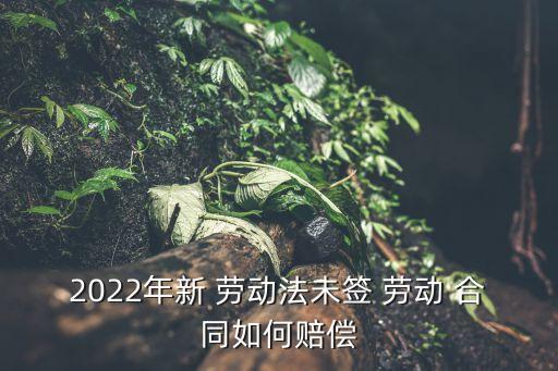 勞動(dòng)合同法沒(méi)簽合同