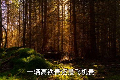 動車多少錢一輛,上汽通用五菱電動車多少錢一輛
