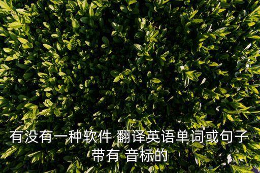 音標翻譯成英文翻譯器,翻譯器拍照掃一掃