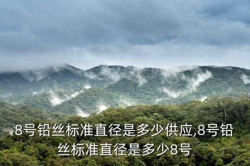 8號鉛絲標(biāo)準(zhǔn)直徑是多少供應(yīng),8號鉛絲標(biāo)準(zhǔn)直徑是多少8號