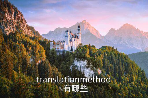 法律文本翻譯技巧有哪些內(nèi)容,翻譯法律文本時(shí)的技巧有哪些