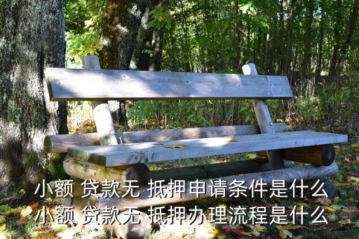  小額 貸款無 抵押申請條件是什么 小額 貸款無 抵押辦理流程是什么