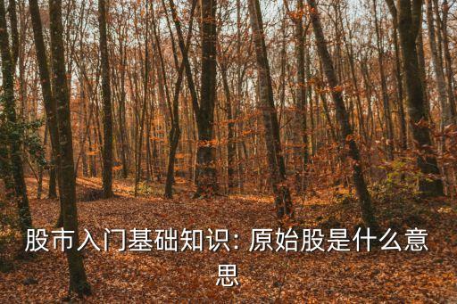 什么是原始股