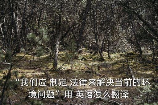 制定法律 英語,制定相關(guān)的法律的英語