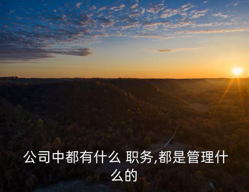 公司職務(wù)