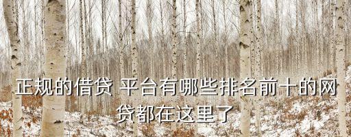 借款平臺(tái)都有哪些,能貸款的平臺(tái)有哪些