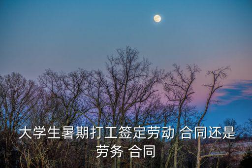 大學生就業(yè)簽什么合同