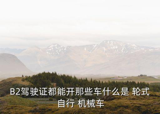 輪式自行機(jī)械車是什么車,準(zhǔn)駕車型m輪式自行機(jī)械車是什么車