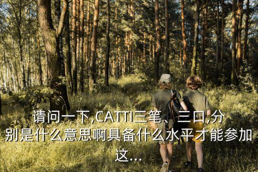 請(qǐng)問(wèn)一下,CATTI三筆、三口,分別是什么意思啊具備什么水平才能參加這...